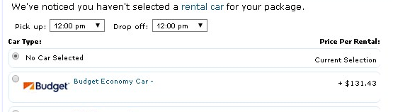 8. Rental Car Options or inclusions