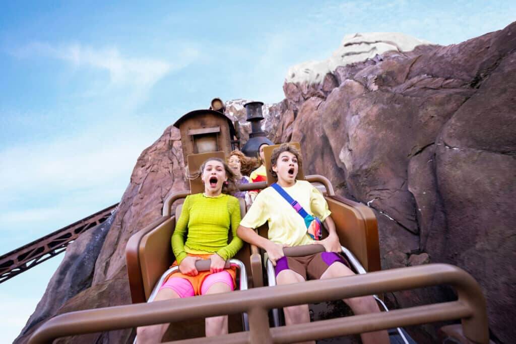 Disney's Animal Kingdom rollercoaster