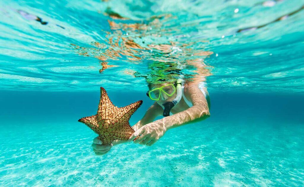 Girl snorkeling in the ocean and holding a starfish. Travel agents near me.