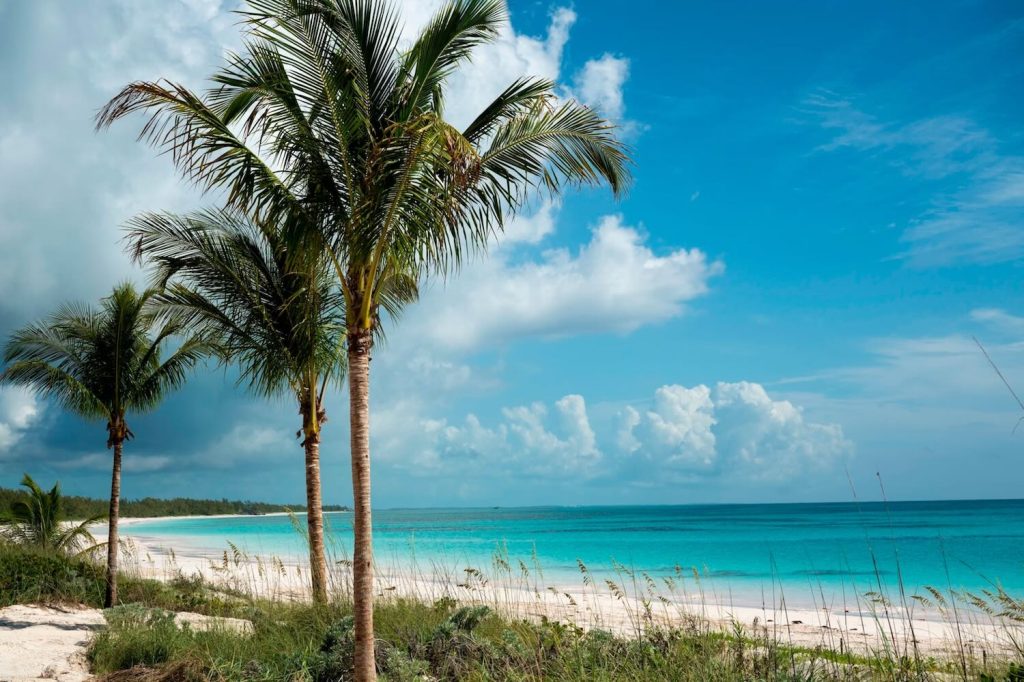 Disney Lookout Cay at Lighthouse Point - trees and beach